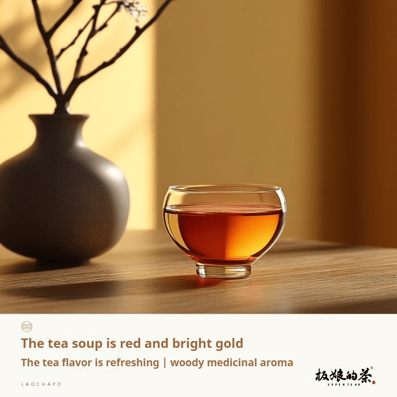 2000 Guangxi Laochapo Dark Tea - Five Roots Tea