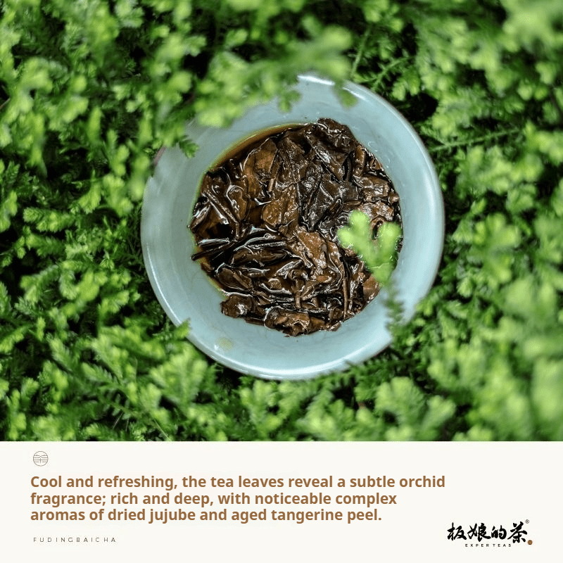 2015 Fuding Taimu Mountain High Altitude Aged Shou Mei White Tea 100g - Five Roots Tea