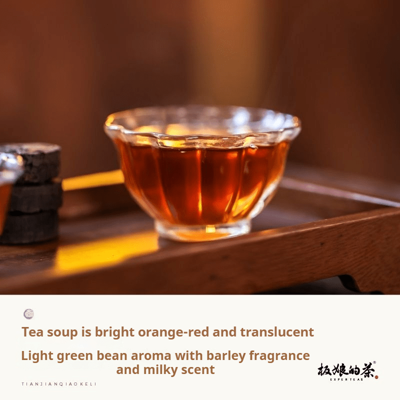 2015 Tianjian Chocolate Flavor Anhua Dark Tea - Five Roots Tea
