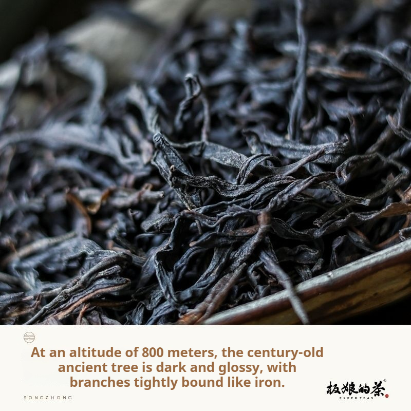 2025 Guangdong Chaozhou Song Dynasty Phoenix Dancong Oolong Tea 50g"