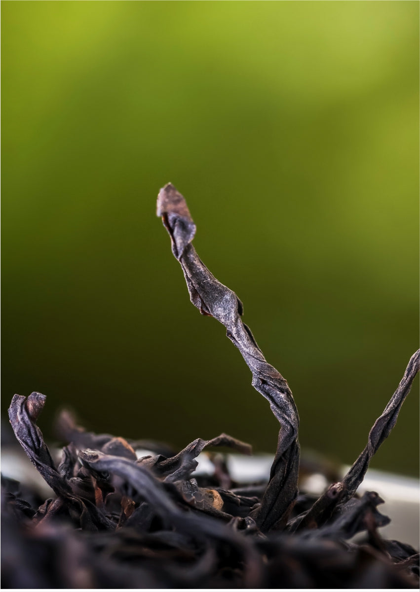 2024-2025 Guangdong Chaozhou Phoenix Dancong Collection - 6 Varieties 36g"