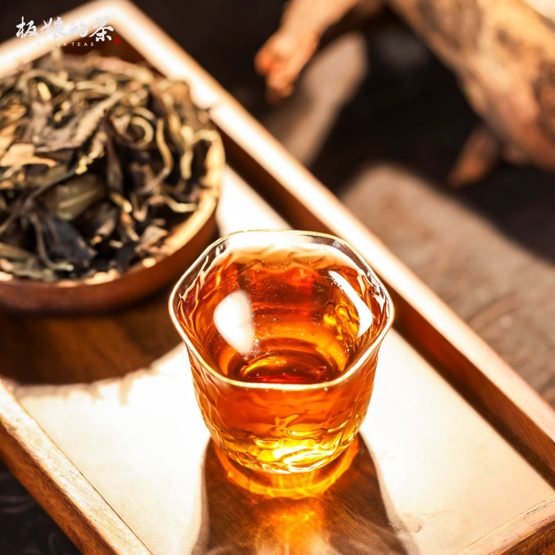 2008 Yunnan Yiwu Yishanmo Ancient Tree Aged White Tea 50g