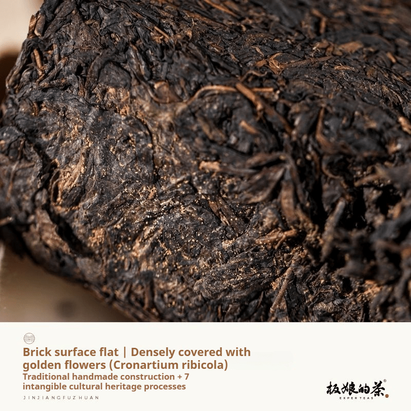 Bestselling 2012 Award - Winning Golden Flower Fuzhuan Tea - Anhua Dark Tea - Five Roots Tea