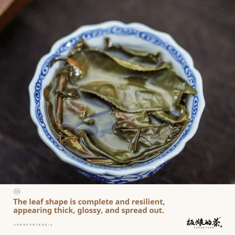 Hawthorn & Tomato Flavor Molie Wild Ancient Tree White Tea - Five Roots Tea