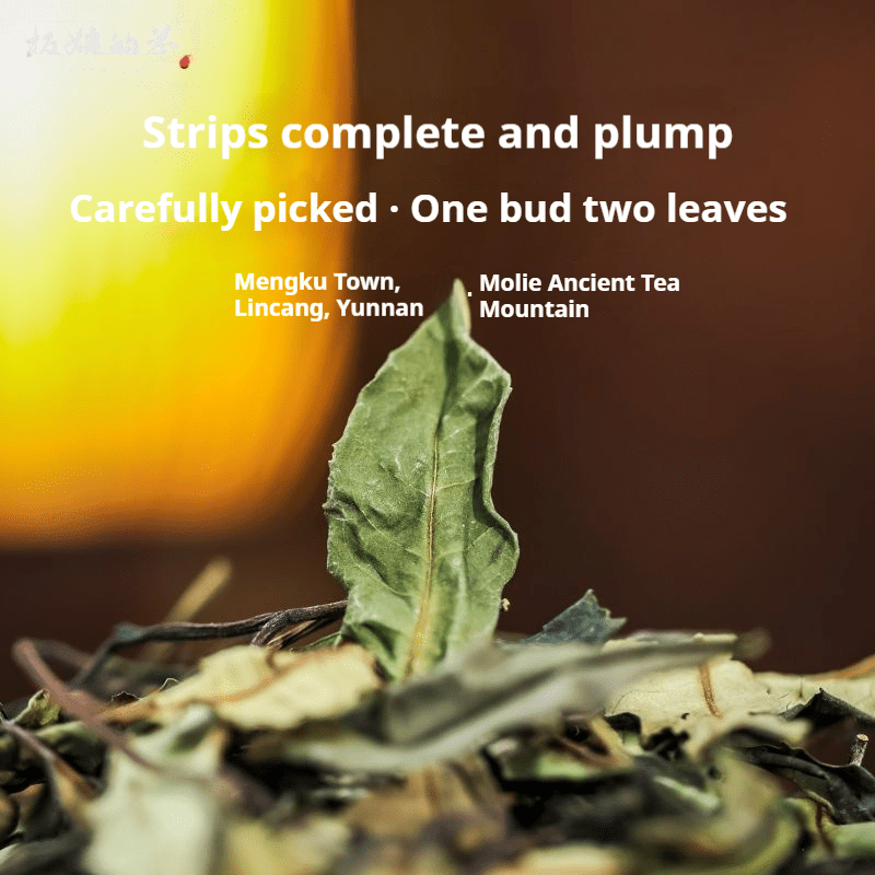 Hawthorn & Tomato Flavor Molie Wild Ancient Tree White Tea - Five Roots Tea