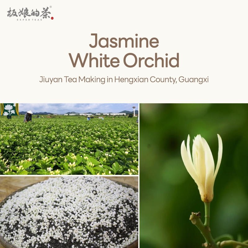 Jasmine Tea: A Symphony of Scents Crafted by Time and Masters - Five Roots Tea