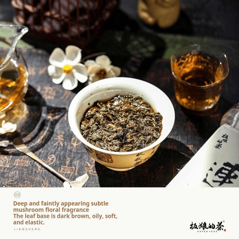 Liansheng Fu Brick Hunan Anhua Dark Tea 450g - Five Roots Tea