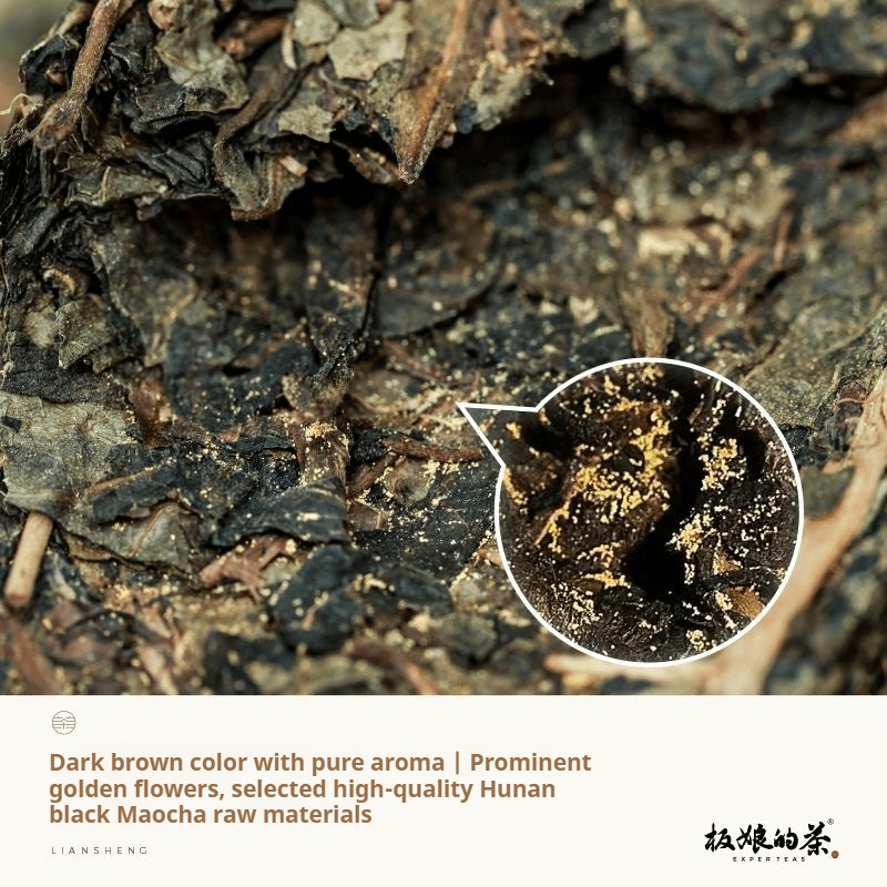 Liansheng Fu Brick Hunan Anhua Dark Tea 450g - Five Roots Tea