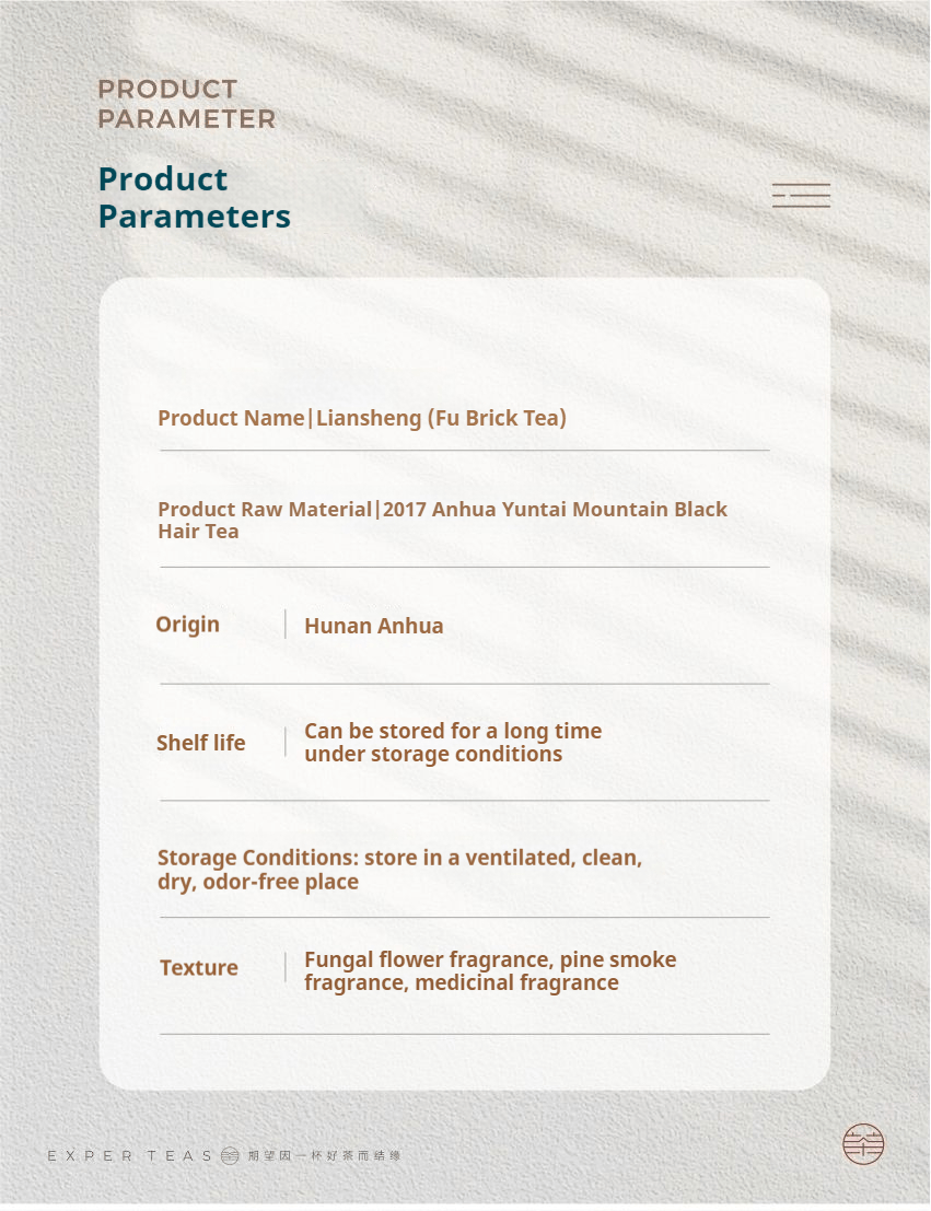 Liansheng Fu Brick Hunan Anhua Dark Tea 450g - Five Roots Tea