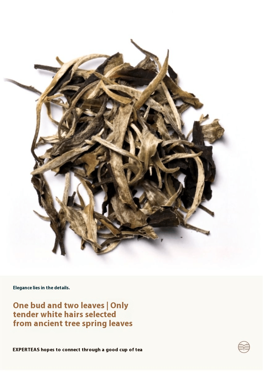 Moonlight beauty(Chinese White Tea) - Five Roots Tea