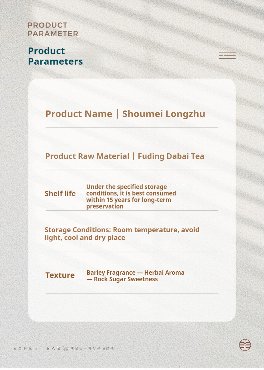 Shoumei Dragon Pearl (Chinese white tea) - Five Roots Tea