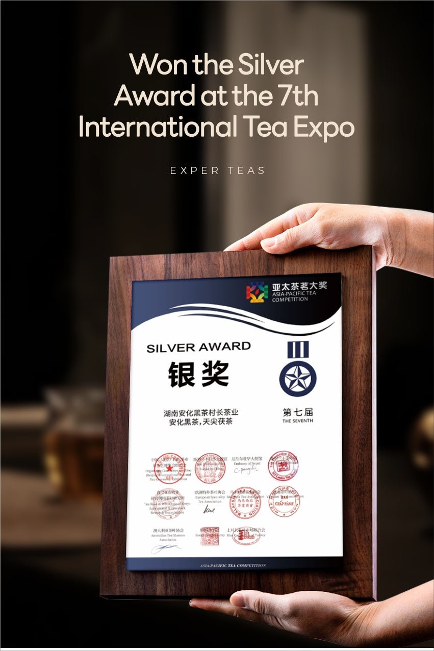 Silver Award Anhua Fuzhuan Dark Tea with Glutinous Aroma - Five Roots Tea