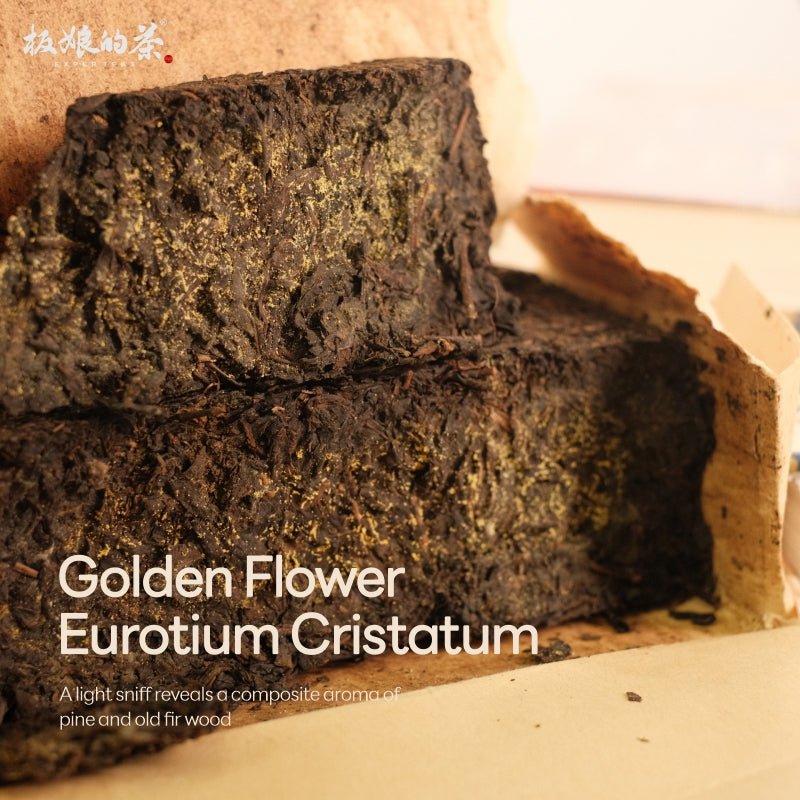 Silver Award Anhua Fuzhuan Dark Tea with Glutinous Aroma - Five Roots Tea