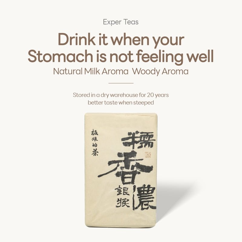 Silver Award Anhua Fuzhuan Dark Tea with Glutinous Aroma - Five Roots Tea