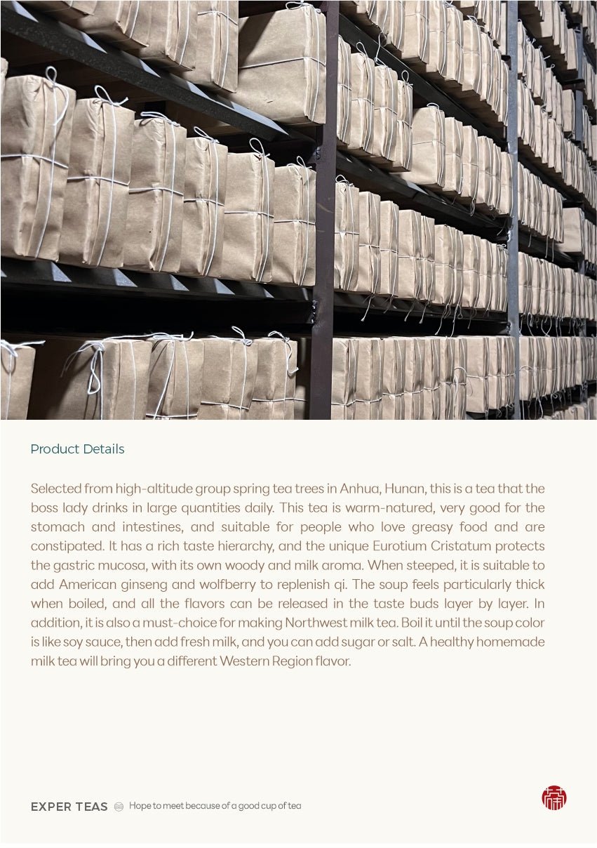 Silver Award Anhua Fuzhuan Dark Tea with Glutinous Aroma - Five Roots Tea